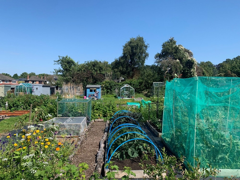 The Liverbirds WI Allotment